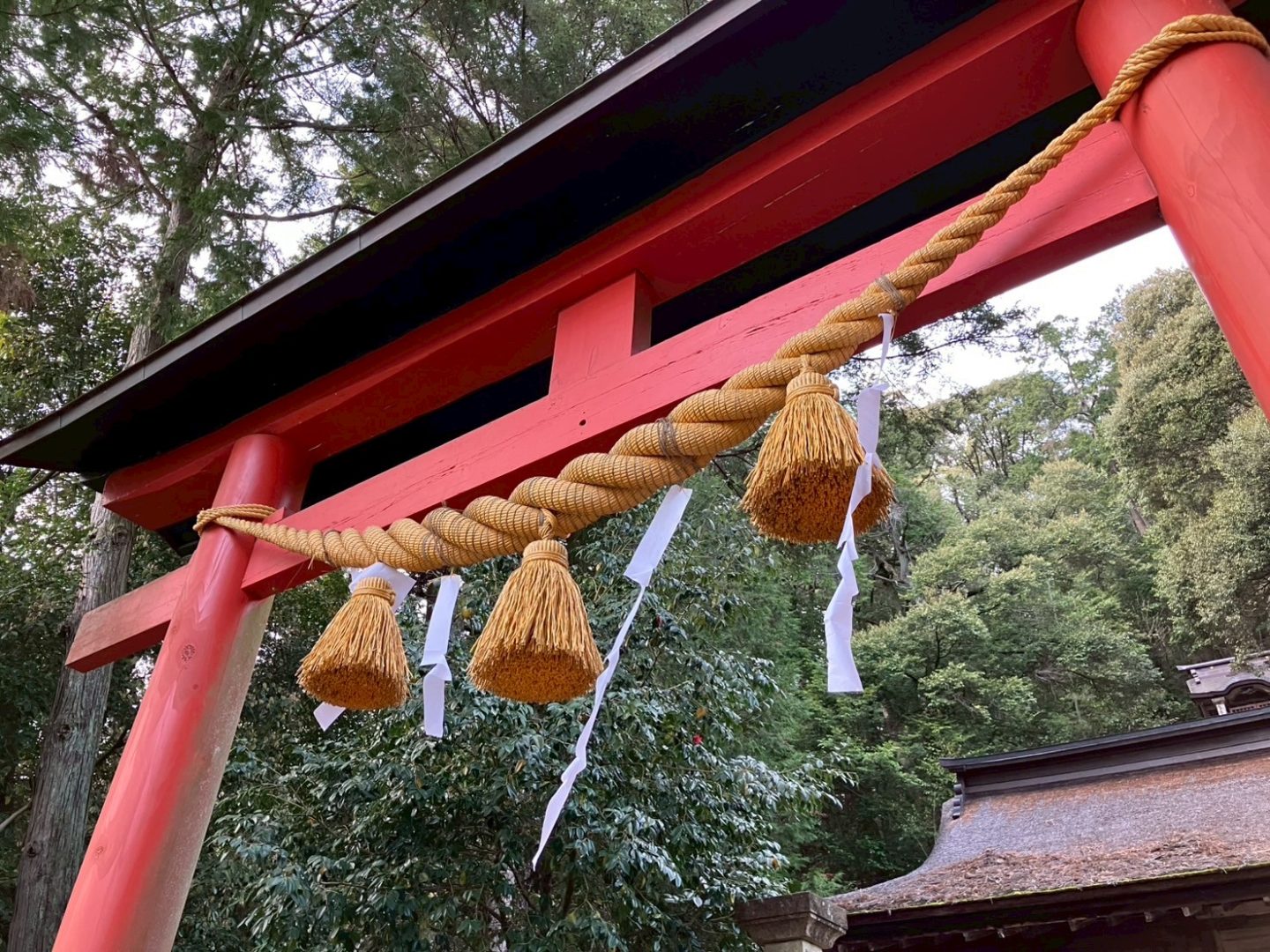 【JIMOTOPICS】白山神社@山県市