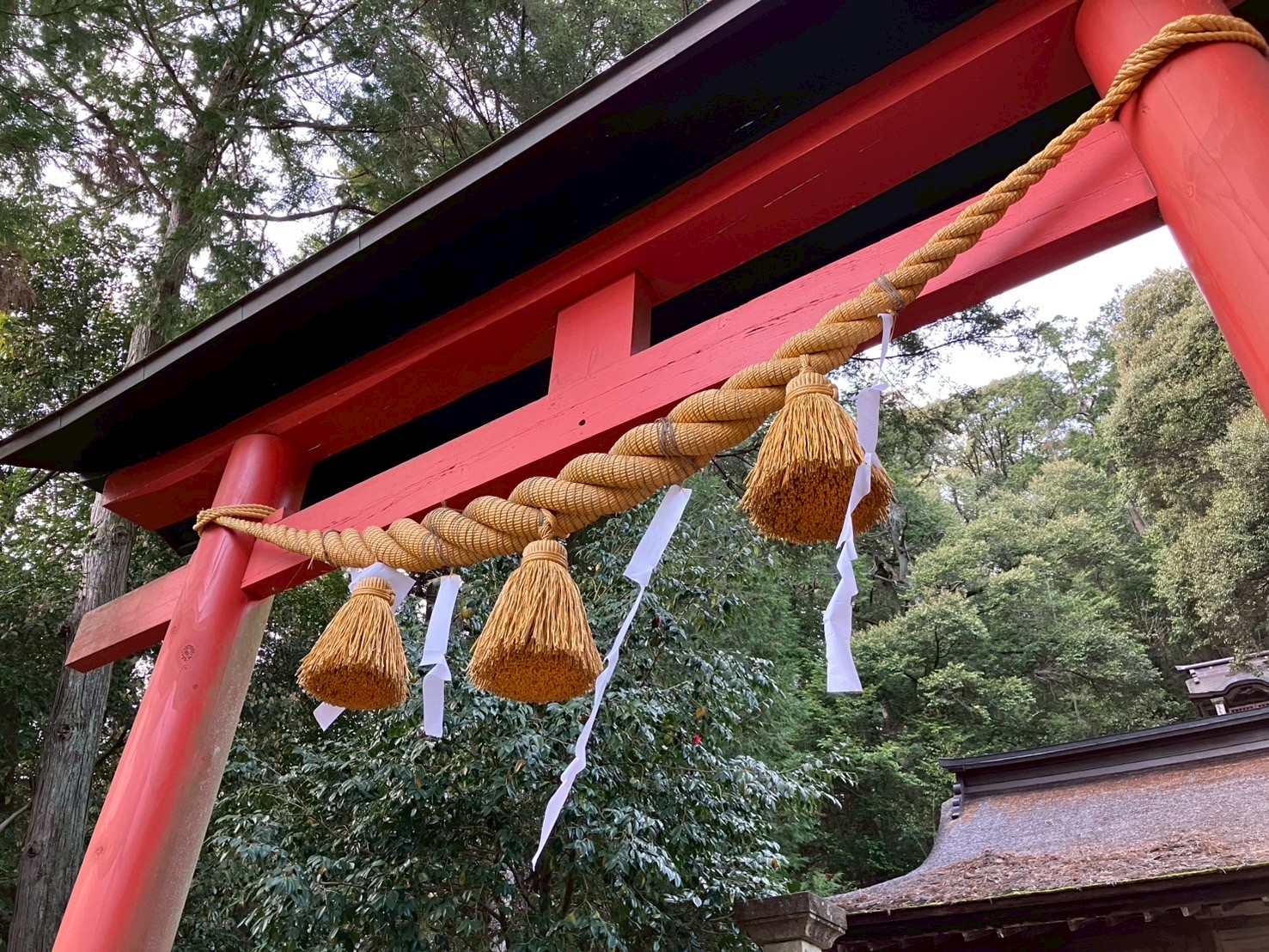 【JIMOTOPICS】白山神社@山県市